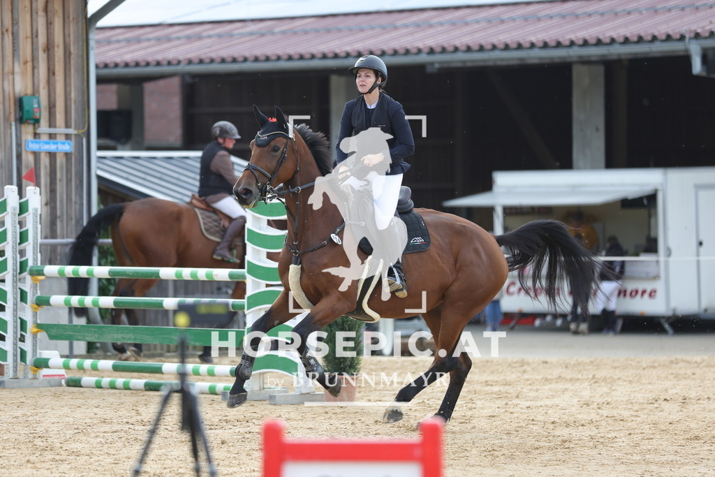 0P6A5155 | Willkommen bei Brunnmayr - Design & Fotografie – Ihrem Spezialisten für Reitturniere und Pferdeveranstaltungen in Oberösterreich, Salzburg und Bayern! Seit über 17 Jahren sind wir leidenschaftlich dabei.
