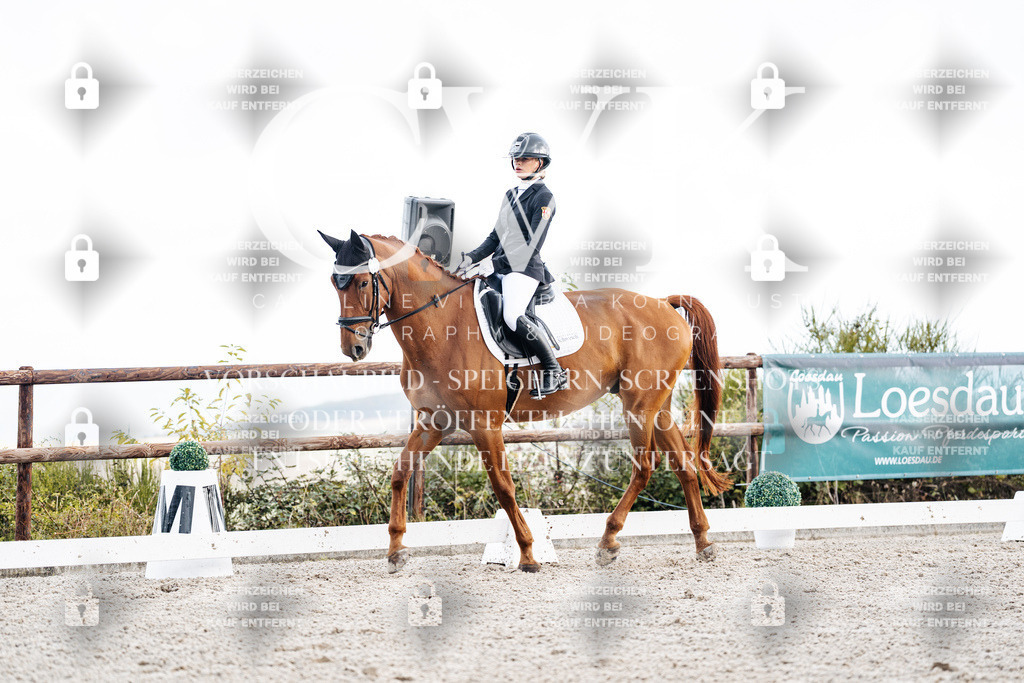 CK900711 | Turnierfotografie Pferdefotografie Trier Rheinland-Pfalz Pferdesport Reitsport Tierfotografie Sportfotografie Pferdevideo Pferdevideografie Equestrianvideography equestrianphotography  - Realisiert mit Pictrs.com