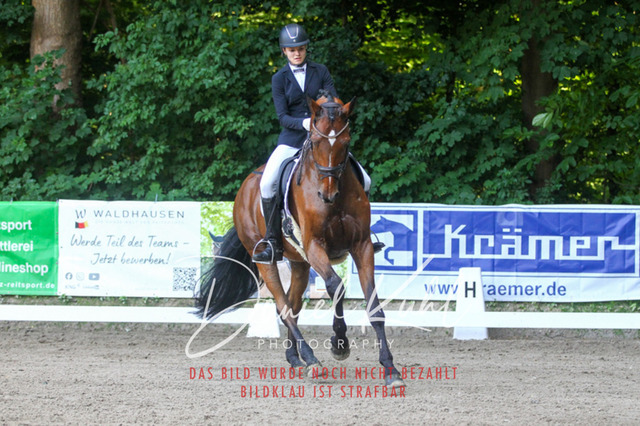 DKP43043 | Turniersportfotografie; Pferdefotografie; Dressurfotografie