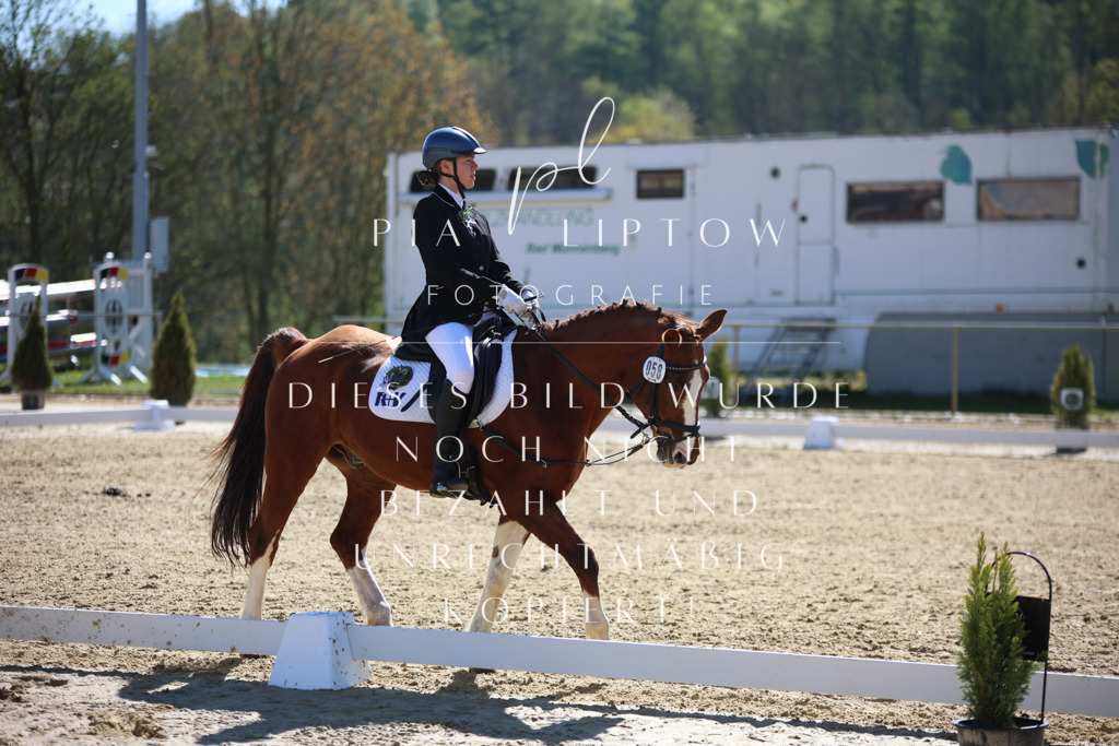 IMGT0524 | pl-fotografie