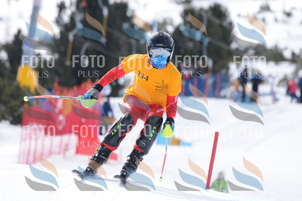 C7682 | holidayphoto