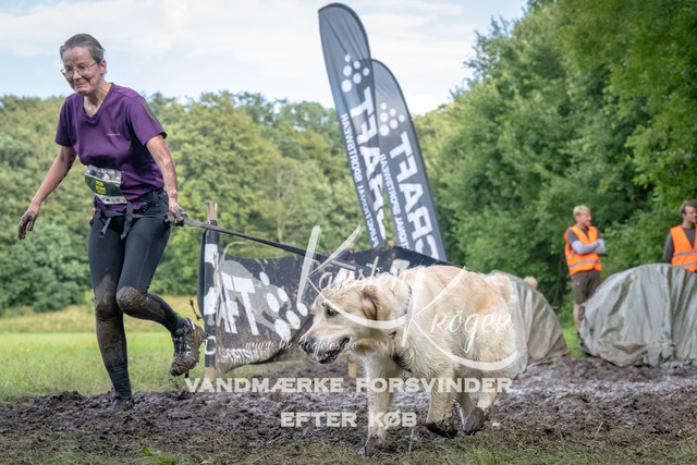 1736_ZZ92880-Bearbeitet | kk-dogfotos