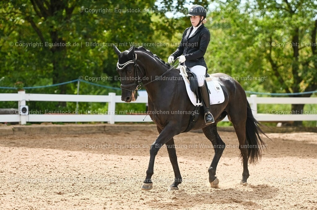 20230715_07_Dressurpferdeprfg. Kl.L_0135 | equistock