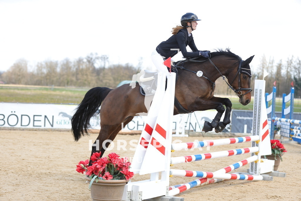 0P6A7471 | Willkommen bei Brunnmayr - Design & Fotografie – Ihrem Spezialisten für Reitturniere und Pferdeveranstaltungen in Oberösterreich, Salzburg und Bayern! Seit über 17 Jahren sind wir leidenschaftlich dabei.
