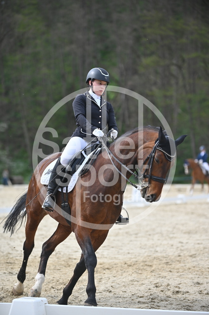 DSC_4974 | sattelsport - Realisiert mit Pictrs.com