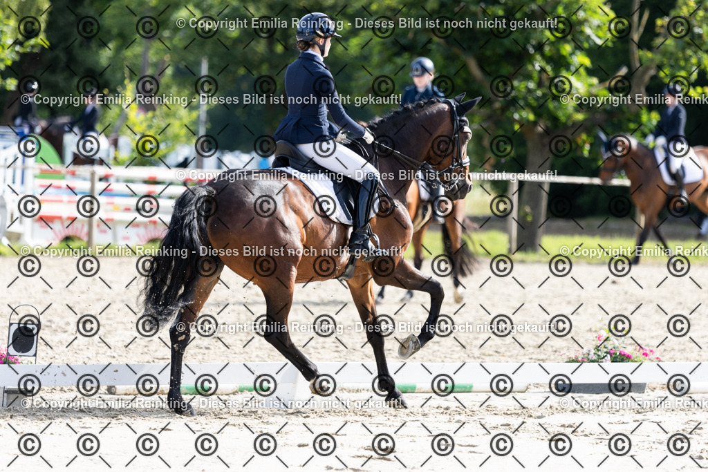 CL5A5558 | Emilia Reinking Fotografie - Realisiert mit Pictrs.com