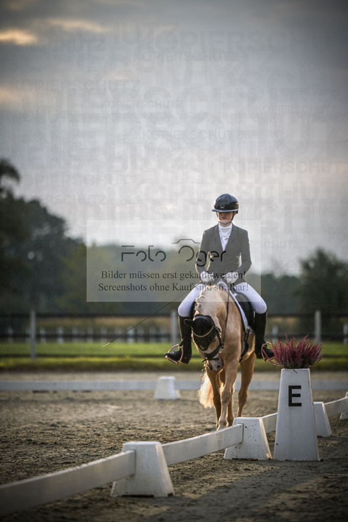 DOS_0891 | Entdecke hochwertige Reitturnierfotos von Foto Oger. Professionell, emotional und authentisch – jetzt Lieblingsmomente im Shop bestellen.Deutschlandweite Turnierfotografie. - Realisiert mit Pictrs.com