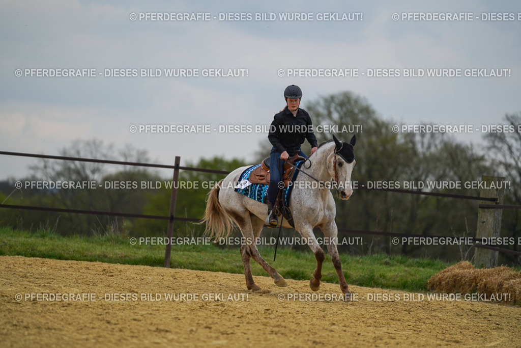 DSC07574 | Pferdegrafie