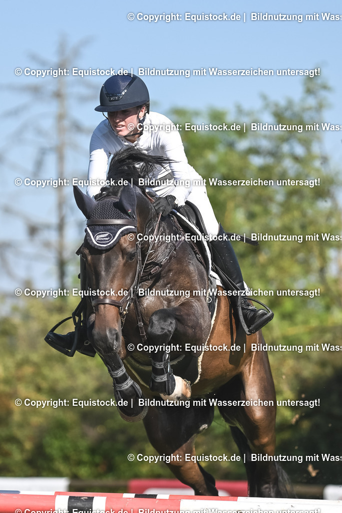 20230908_24_Springen_M_0065 | equistock