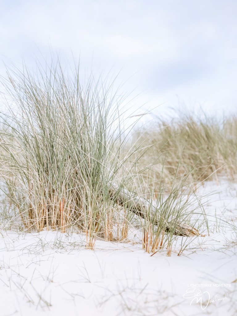 20240505-185042 NORDSEE SPO _094-1 | Herzlich willkommen auf meiner Seite! Ich bin Elke Wallnisch, Deine Fotografin für lichtstarke Momente. Der Name steht für alles, was mich mit der Fotografie verbindet: Das Licht und seine machtvolle Wirkung auf eine Situation oder unsere Stimmung - Realisiert mit Pictrs.com