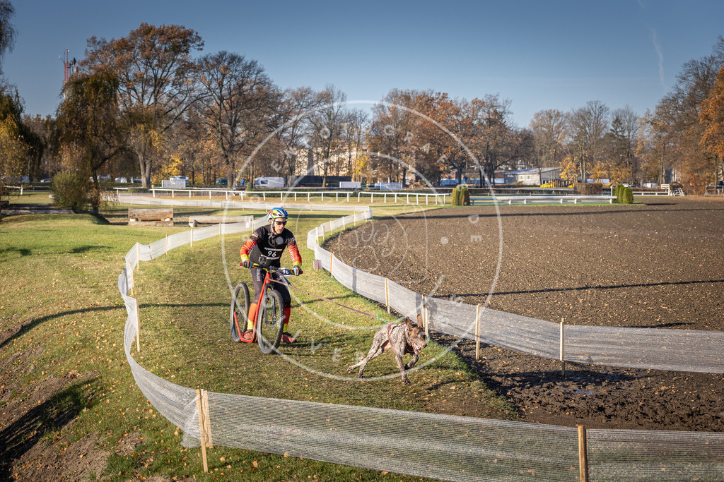 CaniXpix_DV3A2031 | Hundefotografie, Tierfotograf, Pfotenfotografie, Fotoshooting Hund, Hunde Portrait, Hundesport, Hundeportraits, Heideshooting, Hunde, Sportfotograf, Hundefotograf, Turnierhundsport, THS,  - Realisiert mit Pictrs.com