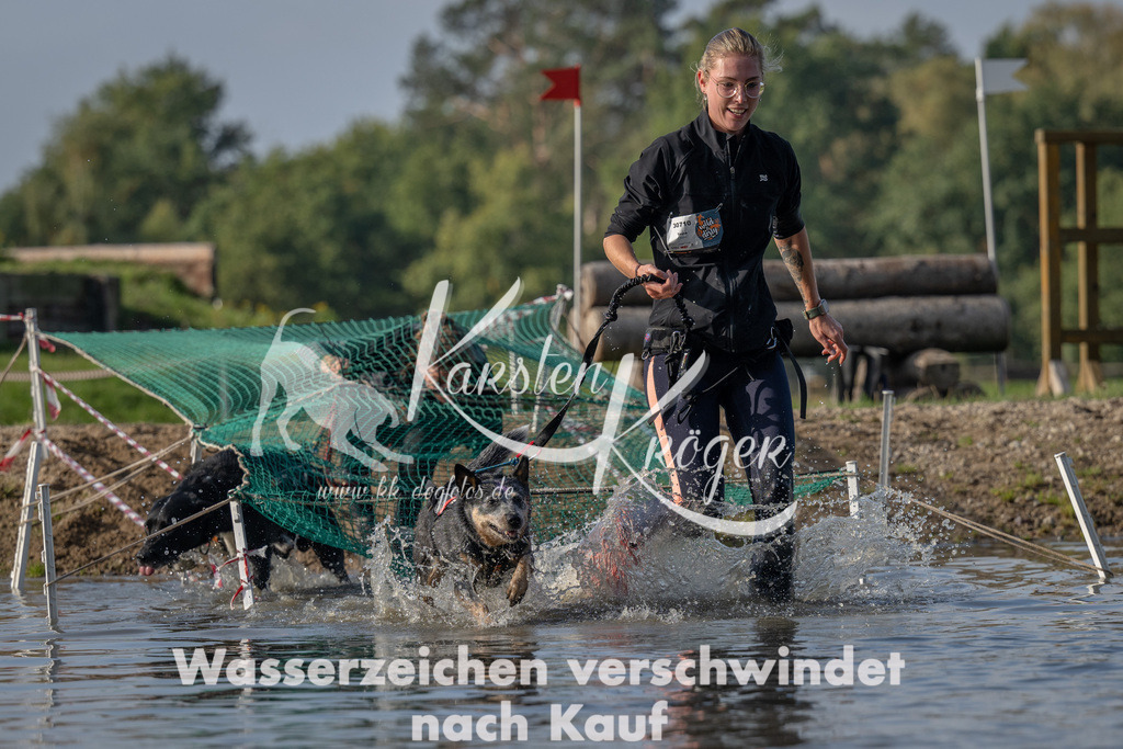 1109_ZZ91765 | kk-dogfotos