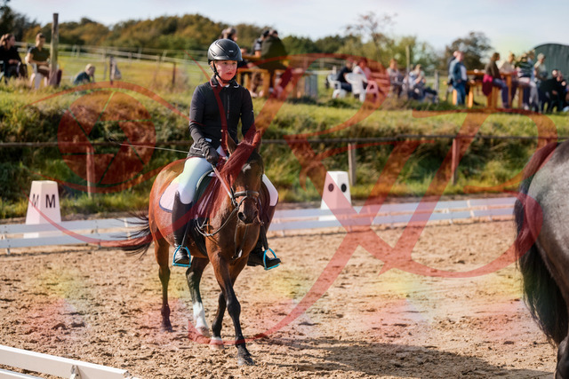 2026_10_03_Siefer-Hof_120832_Z63_38106066 | Professionelle Reitsport-, Turnier- und Eventfotografie von Robert Broda. Galerien mit ausgewählten und bearbeiteten Bildern direkt online ansehen und bestellen.