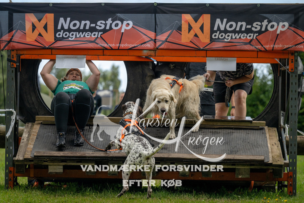 1032_ZZ91217 | kk-dogfotos