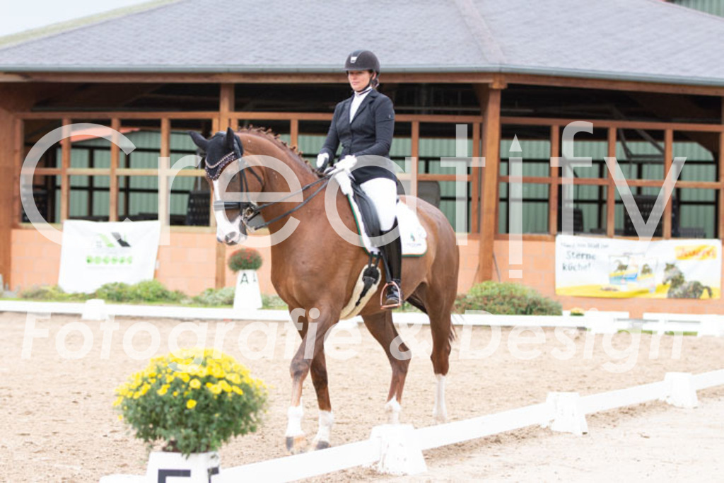 IMG_7213 | Creatify Fotografie