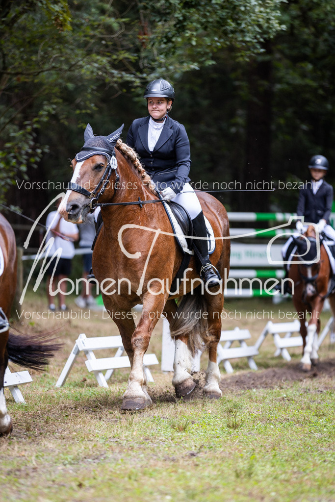 HB-Reiter-WB-038 | MomenTaufnahmen Pferdesportfotos