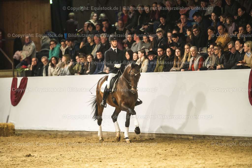 20240302_Hengstvorstellung_Marbach_TOMsPiC_1196-2 | equistock