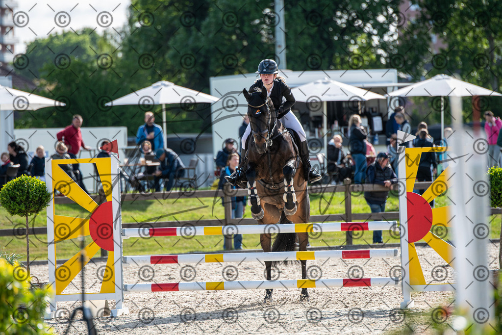 KPT_4556 | andre_photographic