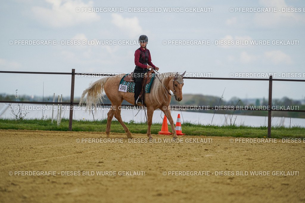 DSC05766 | Pferdegrafie