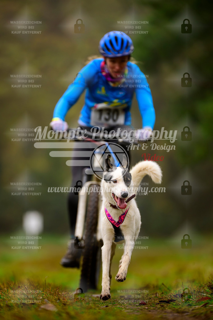 MompixPhotography_Bischwiller2025_Bike-100 | mompixphotography