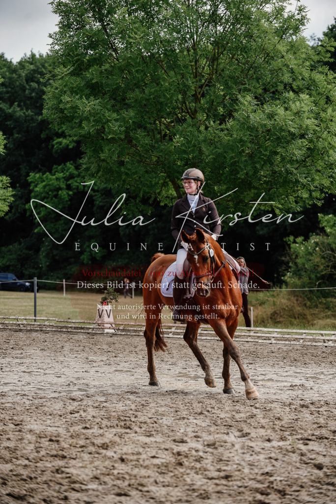 DSC_9672 | Pferde- und Turnierfotografie in Westsachsen. Pferdeportraits, Auftragszeichnungen und intuitive Kunst.