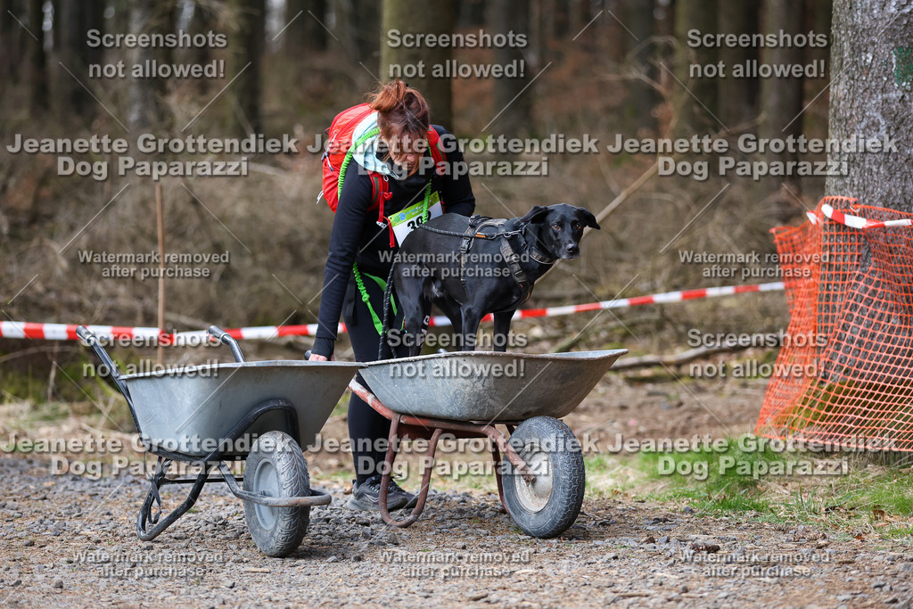 Dog Paparazzi - VCC26-775 | Dog Paparazzi Jeanette Grottendiek Fotografie & Videografie - Realisiert mit Pictrs.com