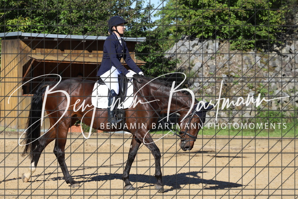 IMG_5040 | Benjamin Bartmann Photomoments