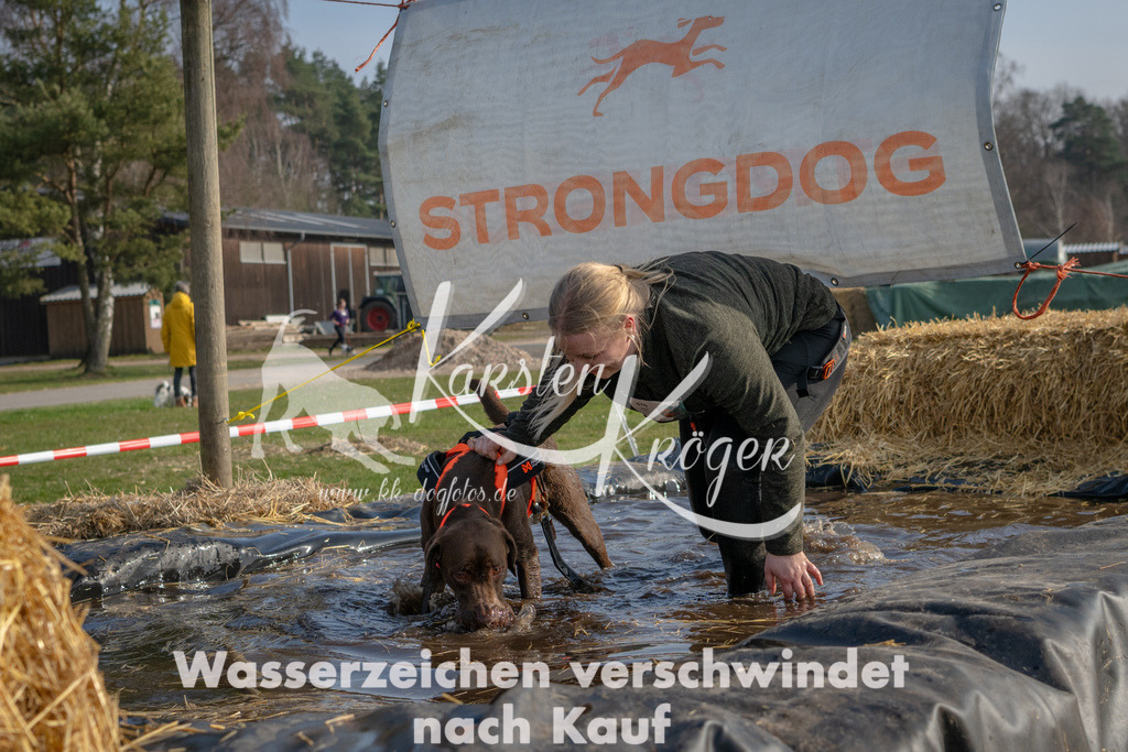 _ZZ94887 | kk-dogfotos