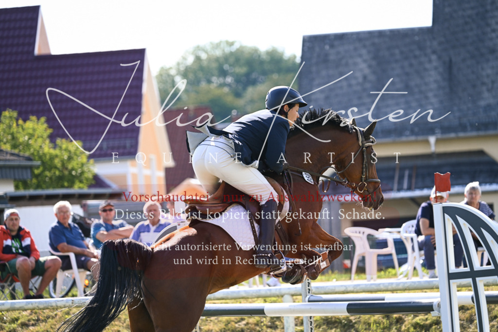 DSC_1271 | Pferde- und Turnierfotografie in Westsachsen. Pferdeportraits, Auftragszeichnungen und intuitive Kunst.