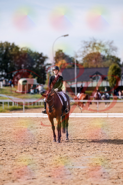 2026_10_03_Siefer-Hof_130817_Z81_60388179 | Professionelle Reitsport-, Turnier- und Eventfotografie von Robert Broda. Galerien mit ausgewählten und bearbeiteten Bildern direkt online ansehen und bestellen.