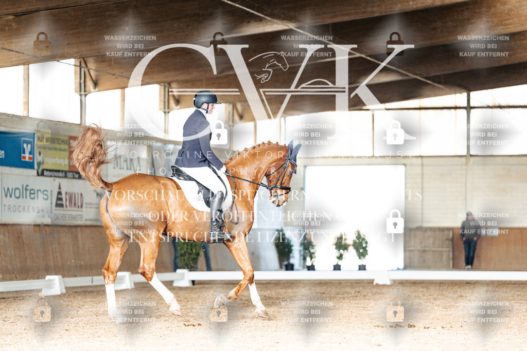 CK902815 | Turnierfotografie Pferdefotografie Trier Rheinland-Pfalz Pferdesport Reitsport Tierfotografie Sportfotografie Pferdevideo Pferdevideografie Equestrianvideography equestrianphotography  - Realisiert mit Pictrs.com