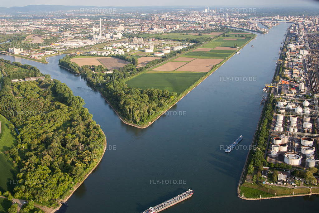 Luftbild: Insel am Ufer des Flußverlaufes des Rhein und des Friesenheimer Altrheins im Ortsteil Friesenheimer Insel im Ortsteil Neckarstadt-West in Mannheim im Bundesland Baden-Württemberg in Deutschland. Foto: IMG_088238.jpg vom 09.05.2016 durch Werner Riehm/FLY-FOTO.de