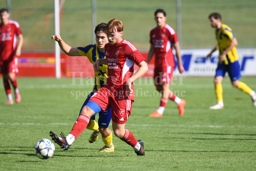 TSV Seebach : SV Wenzenbach | Philipp Macht(TSV Seebach #17) - Realisiert mit Pictrs.com