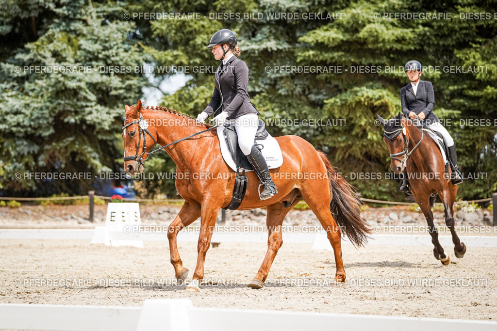 DSC03647 | Pferdegrafie