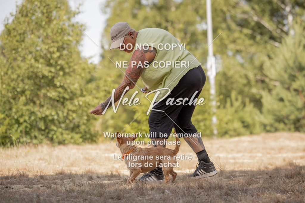 nelerasche_soDD2_63 | nelerasche