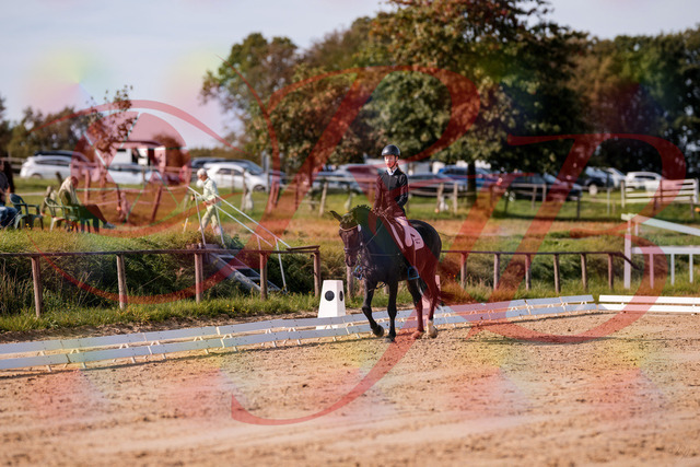 2026_10_03_Siefer-Hof_115627_Z81_97481890 | Professionelle Reitsport-, Turnier- und Eventfotografie von Robert Broda. Galerien mit ausgewählten und bearbeiteten Bildern direkt online ansehen und bestellen.