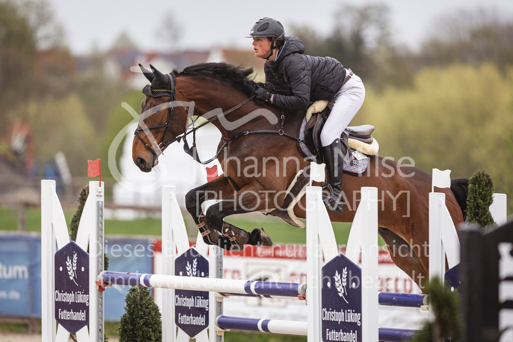 250417_Springpferde-L2-352 | Deine schönsten Turniermomente als professionelle Fotos! Entdecke hochwertige Pferdesport-Fotografie im Online-Shop. Jetzt Fotos finden & bestellen!