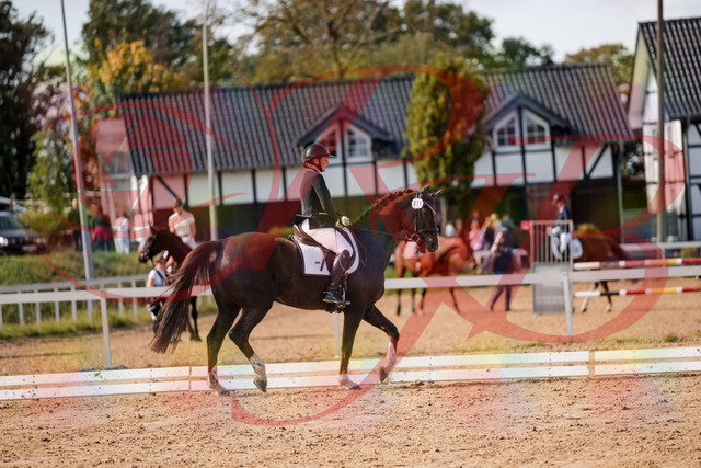2026_10_03_Siefer-Hof_132307_Z63_84080664 | Professionelle Reitsport-, Turnier- und Eventfotografie von Robert Broda. Galerien mit ausgewählten und bearbeiteten Bildern direkt online ansehen und bestellen.