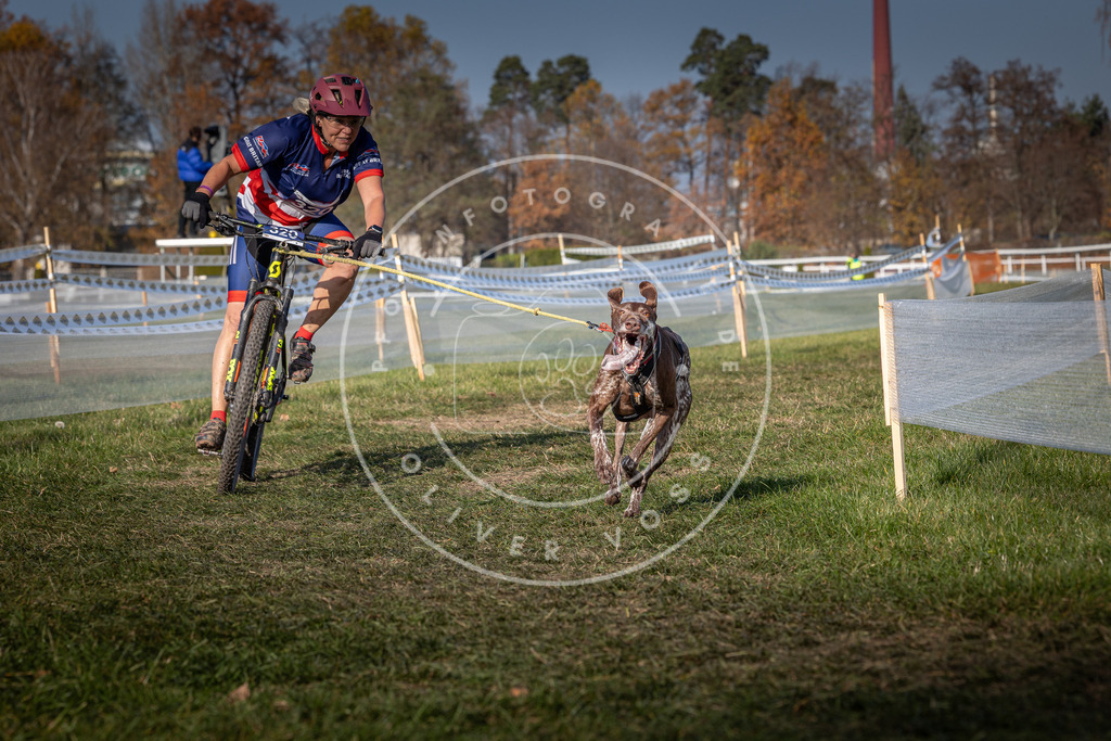CaniXpix_0L8A7096 | Hundefotografie, Tierfotograf, Pfotenfotografie, Fotoshooting Hund, Hunde Portrait, Hundesport, Hundeportraits, Heideshooting, Hunde, Sportfotograf, Hundefotograf, Turnierhundsport, THS,  - Realisiert mit Pictrs.com