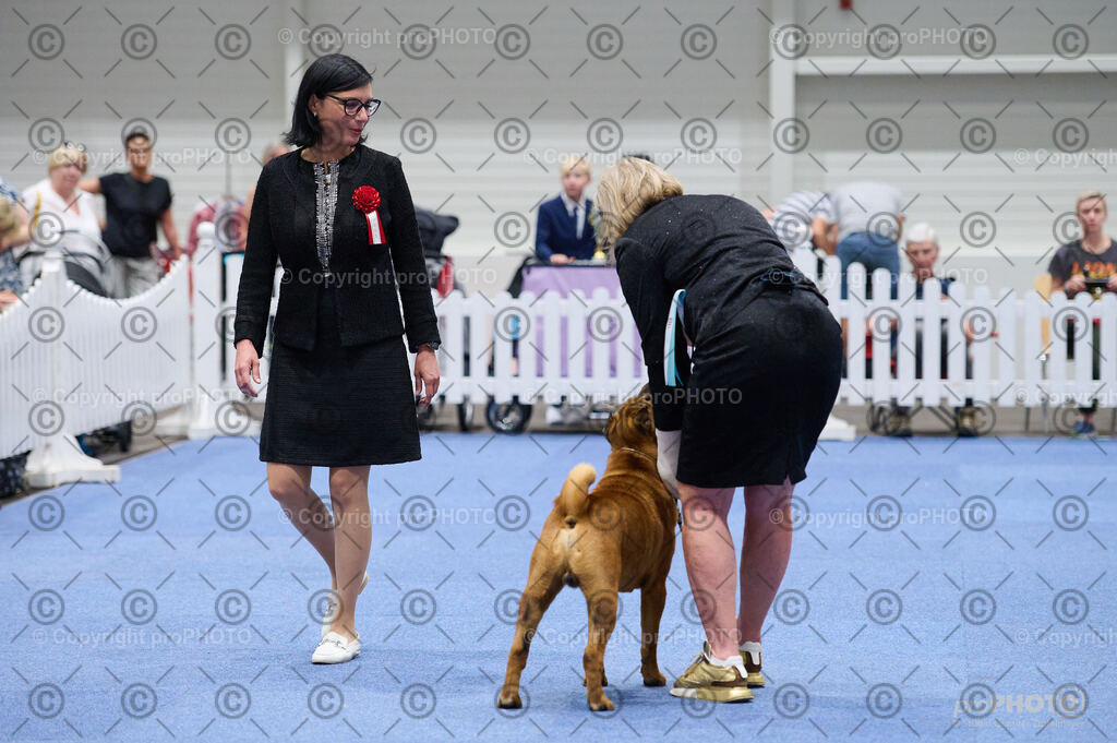 202406_ÖKV-IHA-Tulln24_DSC_2950 | proPHOTO - Realisiert mit Pictrs.com