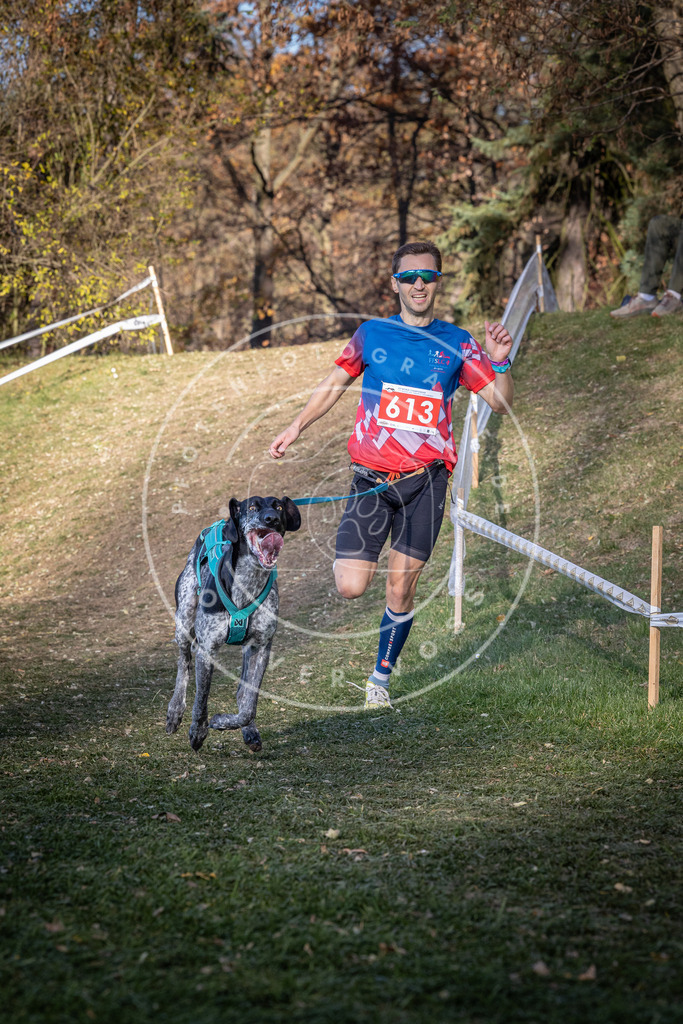 CaniXpix_0L8A8715 | Hundefotografie, Tierfotograf, Pfotenfotografie, Fotoshooting Hund, Hunde Portrait, Hundesport, Hundeportraits, Heideshooting, Hunde, Sportfotograf, Hundefotograf, Turnierhundsport, THS,  - Realisiert mit Pictrs.com