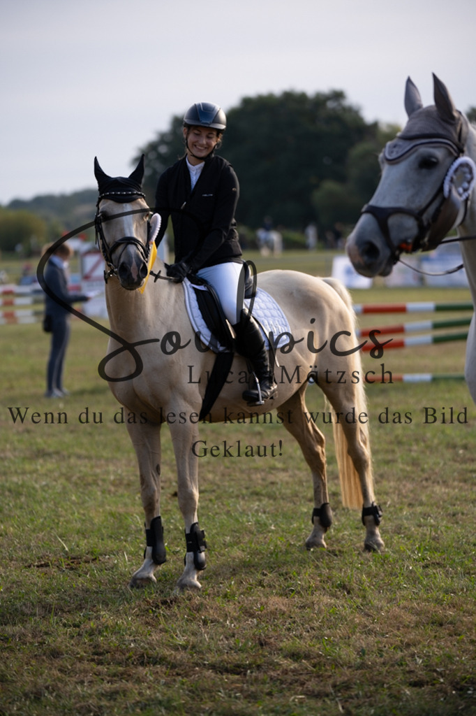 A7V08018 | Turnier/Reitfotograf