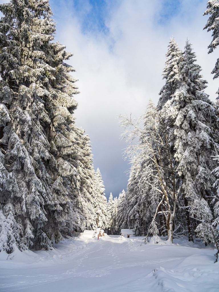 Landschaft im Winter im Thüringer Wald in der Nähe von Schmiedefeld am Rennsteig | Landschaft im Winter im Thüringer Wald in der Nähe von Schmiedefeld am Rennsteig.