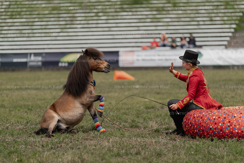 Showprogramm-231 | working equitationturnier fotograf videograf stoibphotography marixx film working equitation deutschland reitsport turnierfotografie eventfotografie equestrian events