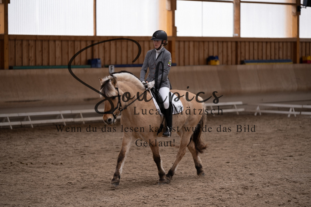 A7V09402 | Pferdefotograf