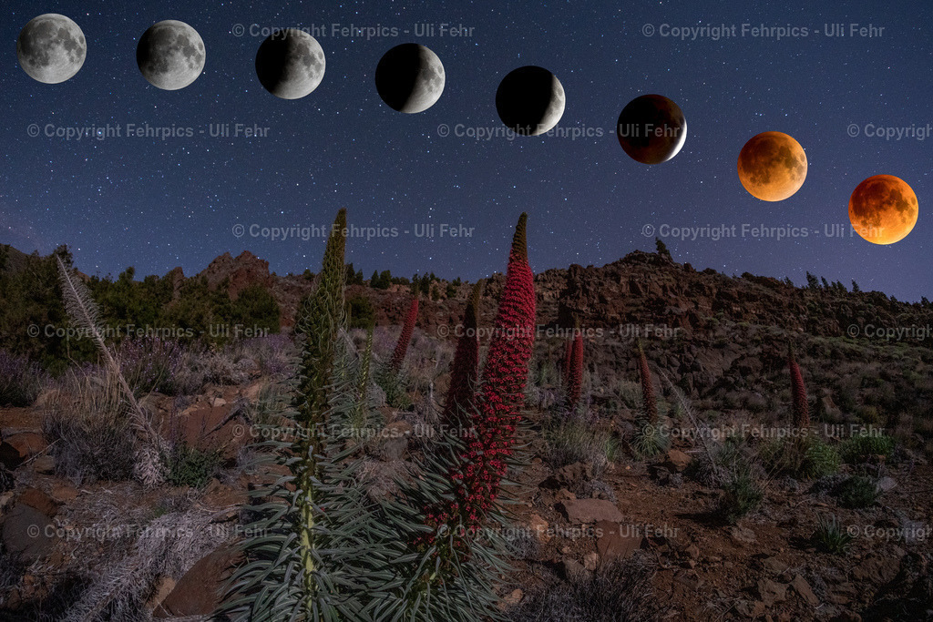 Lunar Eclipse | A Composite Image from the 2022 Lunar Eclipse at Tenerife with some Tajinaste - Realisiert mit Pictrs.com