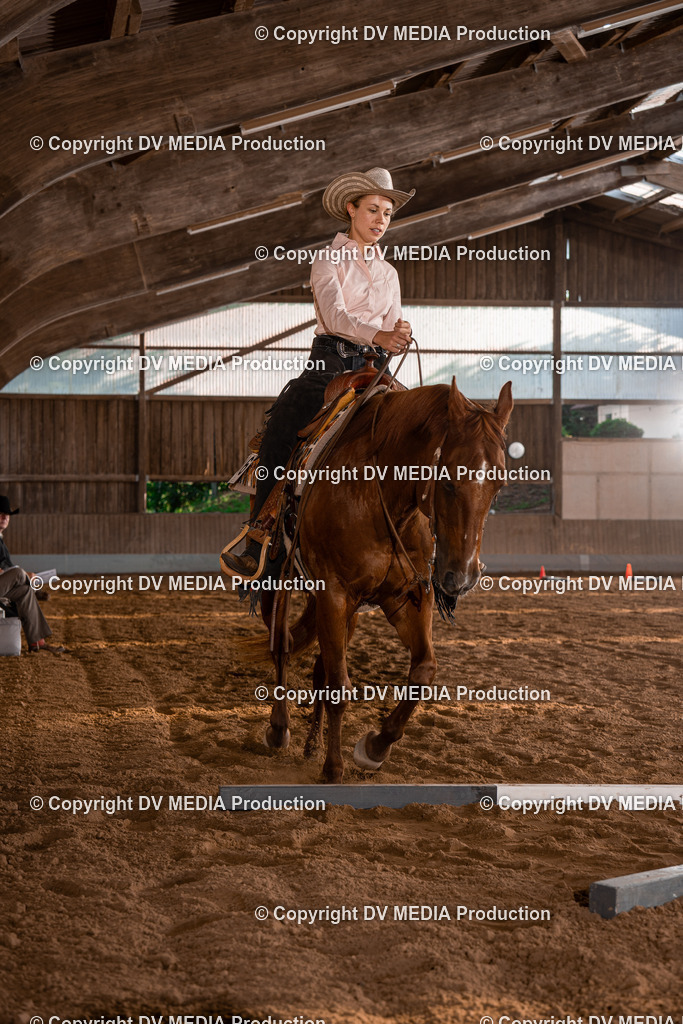 NE101200 | dv-media-shop - Realisiert mit Pictrs.com