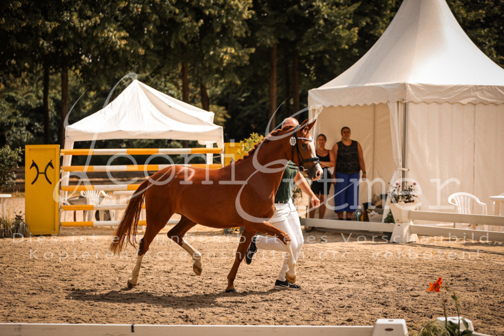 11.So00071 | Leoni Ertmer Photography - Realisiert mit Pictrs.com