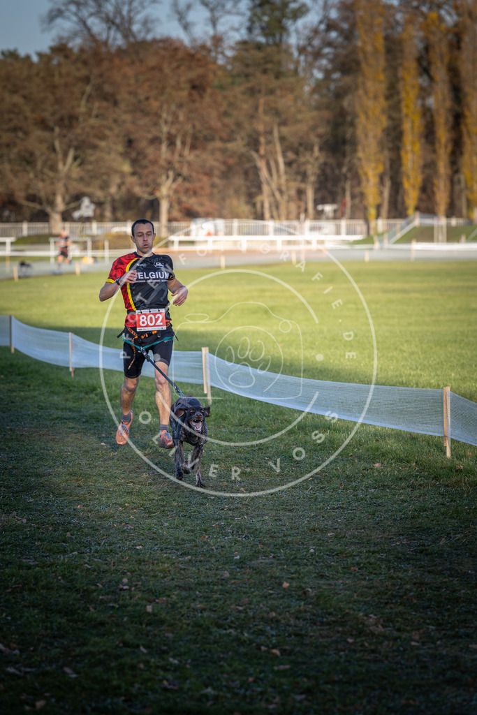 CaniXpix_DV3A2927 | Hundefotografie, Tierfotograf, Pfotenfotografie, Fotoshooting Hund, Hunde Portrait, Hundesport, Hundeportraits, Heideshooting, Hunde, Sportfotograf, Hundefotograf, Turnierhundsport, THS,  - Realisiert mit Pictrs.com