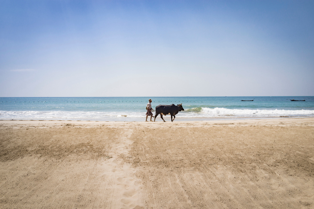 150126-0972 | Hochwertige Fotokunst aus Palm Springs, Santa Monica, New York, Hamburg - sowie atemberaubender Landschaftsfotografie aus Costa Rica, Myanmar und Schottland. - Realisiert mit Pictrs.com